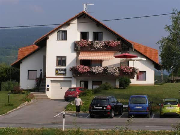 Hotel Vukovic House Selište Drežničko Exterior foto